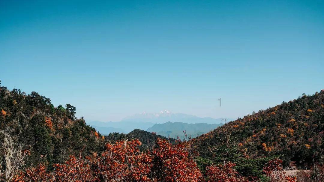 中国恒大,新消息